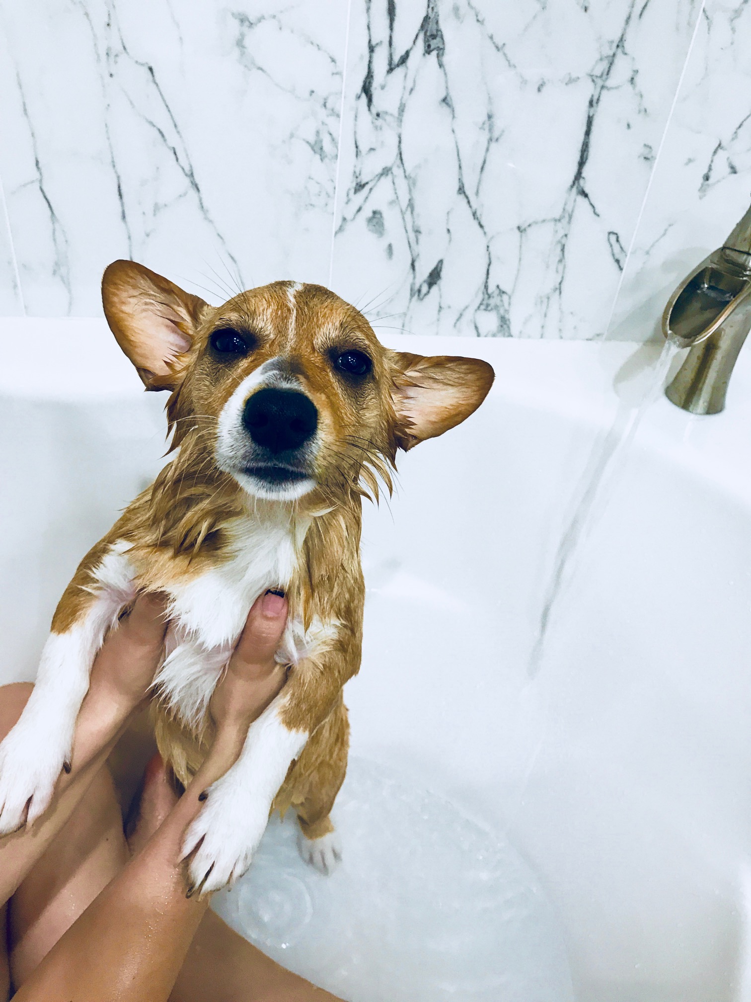 Sad wet Lola